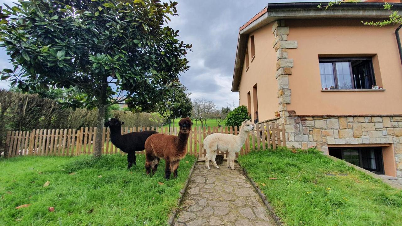 Hotel 3 Alpacas La Campa Exteriér fotografie
